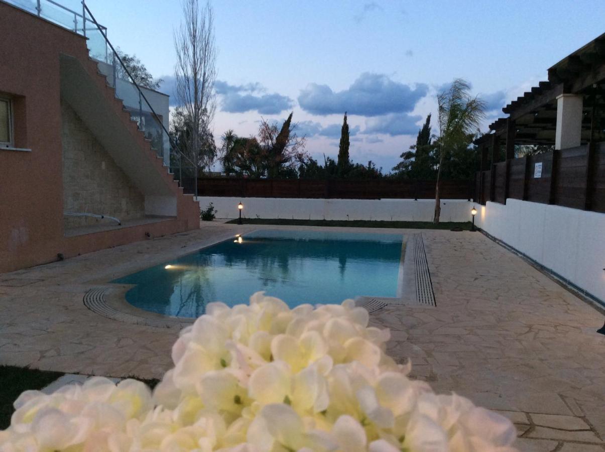 Dream House Latchi Villa Polis Exterior foto